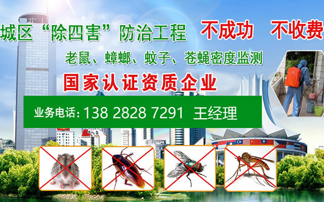手机幻灯片2